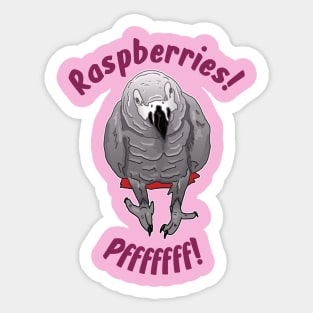 African grey Einstein parrot "Raspberries" Sticker